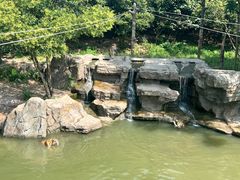 -宁波野生动物园