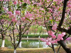 -白塘生态植物园