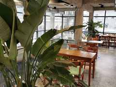 -腾爱熊猫咖啡生活馆(老东门店)