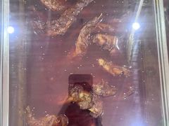 -鸿运兔·手撕烤兔(天府广场店)
