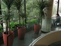-麦当劳(展览路店)