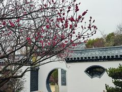 -东方绿舟景区