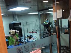 -转角宠物(转塘方家苑店)
