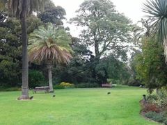 -墨尔本皇家植物园
