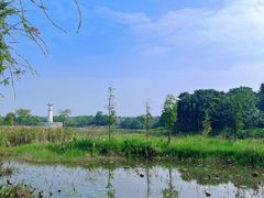 -中澳友谊花园