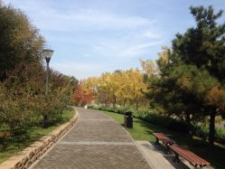 大望京公园儿童游乐场-大望京儿童游乐场