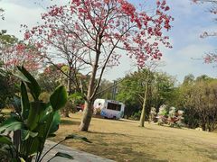 -云溪植物园
