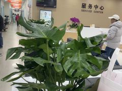 -上海仁爱医院