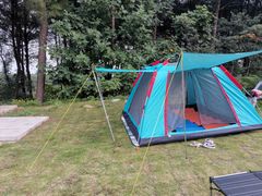 -铁山坪森林公园