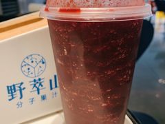 -野萃山·潮汕厚果汁(十亩地店)