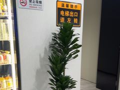 -W·24H茶楼·棋牌·掼蛋(望京店)