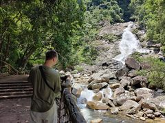 -海南热带雨林国家公园吊罗山景区