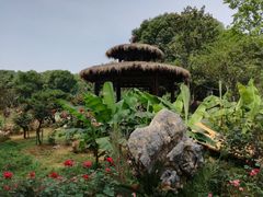 -东湖落雁景区
