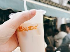 -猫的魔法密林(衣裳街店)
