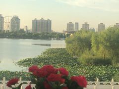 -皇冠明珠鱼翅楼(水上公园店)