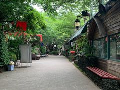 -万绿园