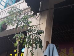 -文昌鸡饭店110号(中山路店)