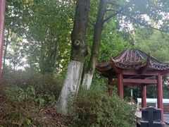 -中央戏剧学院(昌平校区)