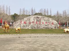 -上海海湾国家森林公园