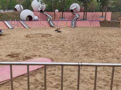 -石榴庄公园
