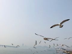 -星海广场