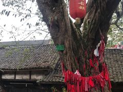 -尧坝古镇