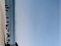 -玫瑰海岸文化旅游度假区