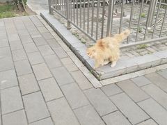 -北京市劳动人民文化宫(太庙)