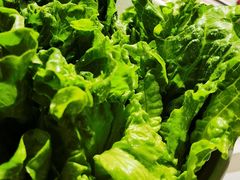-犇鼎牛潮汕牛肉火锅(新辰里学清路店)