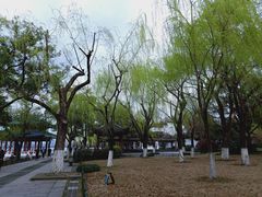 -柳浪闻莺公园