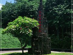 -王借岗森林公园