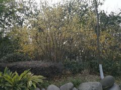 -成飞公园