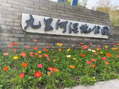 -九里河湿地公园