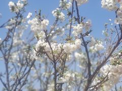 -观澜湖生态运动公社