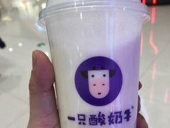 -一只酸奶牛(来福士店)
