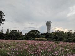 -上海滨江森林公园