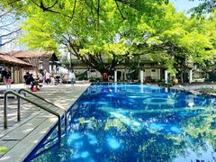 -喜洲吧·江畔老船厂·庭院餐厅(喜临院店)