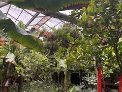 -呀路古热带植物园