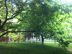 -利顺德大饭店·维多利亚花园(小白楼店)