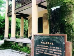 -南山植物园