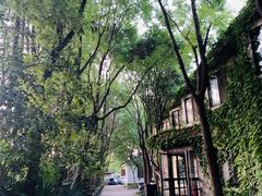 -得丘礼享谷·玉兰苑