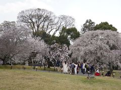 -醍醐寺