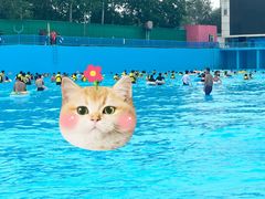 -欢乐水魔方水世界