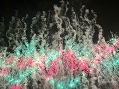 -南宁花花大世界景区