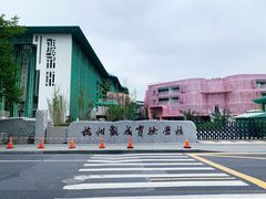 -杭州观成实验学校