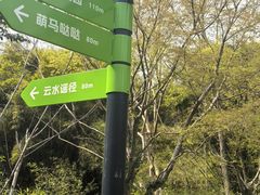 -金鸡湖桃花岛
