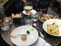 -金蜗牛