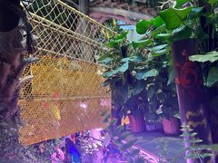 -正佳雨林生态植物园