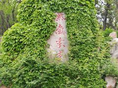 -竹子庵公园