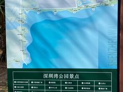 -深圳湾公园(南山区)